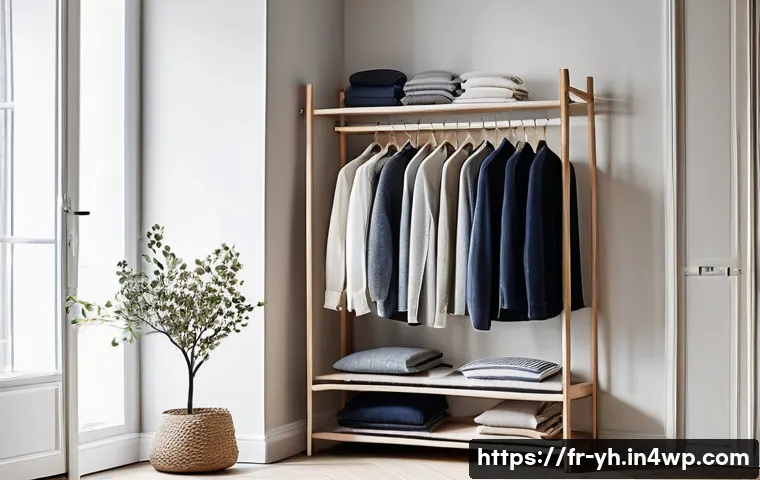 효율적인 캡슐 옷장 만들기 - A stylish minimalist wardrobe setup in a bright, modern French apartment featuring a neatly organize...